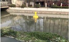  多參數(shù)水質分析儀在城市景觀河道上的應用