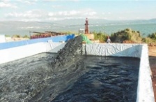  玉溪星云湖加快污染底泥疏挖，消除劣V類水質(zhì)