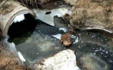  cod能反映水質(zhì)污染情況嗎？