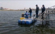  小型浮標在線監(jiān)測系統(tǒng)