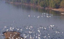  生態(tài)環(huán)境部召開2018年上半年水環(huán)境質量達標滯后地區(qū)工作調度會