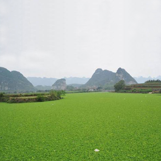  氣溫下降，我的氨氮超標怎么辦