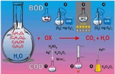  BOD和COD有什么區(qū)別？