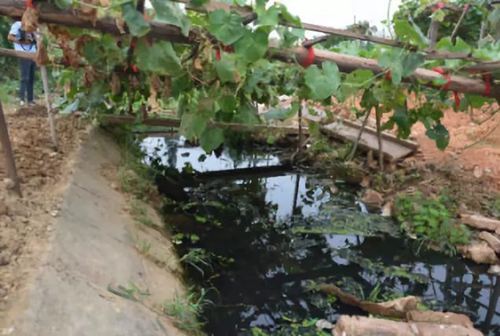 長沙市后湖：徹底消除黑臭，實現(xiàn)&ldquo;長治久清&rdquo;