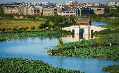 從&ldquo;優(yōu)環(huán)境&rdquo;到&ldquo;強產(chǎn)業(yè)&rdquo;再到&ldquo;惠民生&rdquo; 東莞市麻涌鎮(zhèn)走通綠色發(fā)展&ldquo;閉環(huán)&rdquo;