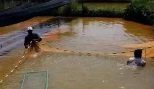 水渾了？不用怕，這五個方面讓水質(zhì)恢復清新