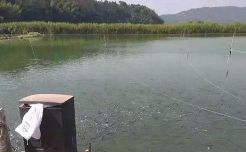 水渾了？不用怕，這五個方面讓水質(zhì)恢復清新